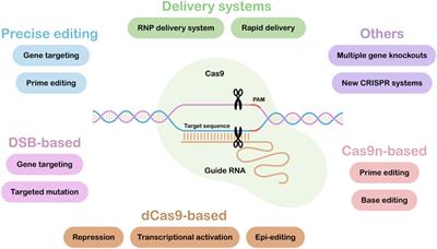 Editorial: New Genome Editing Tools and Resources: Enabling Gene Discovery and Functional Genomics